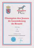 Champion Jeune Luxembourg 2023 Timo 