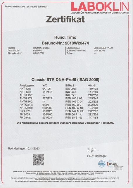 Timo  Classic STR DNA-Profil